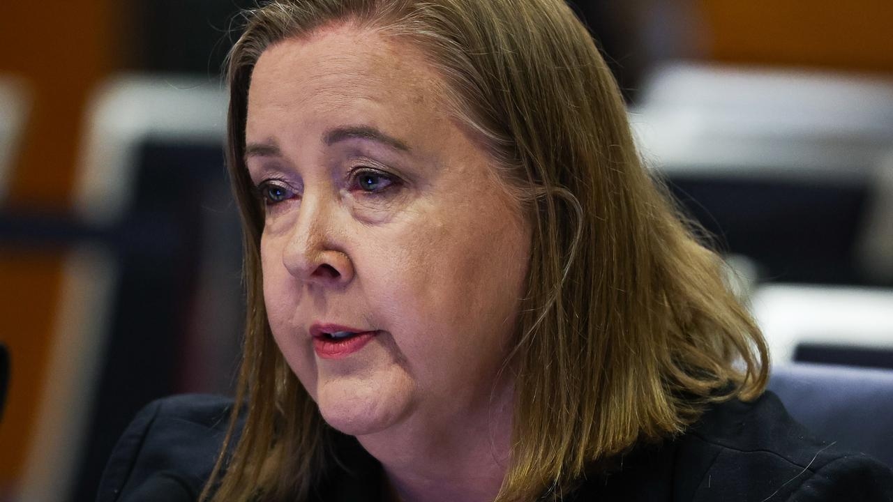 ‘Don't use it': NSW Roads Minister Jenny Aitchison grilled over $50m splash on neighbourhood bridge