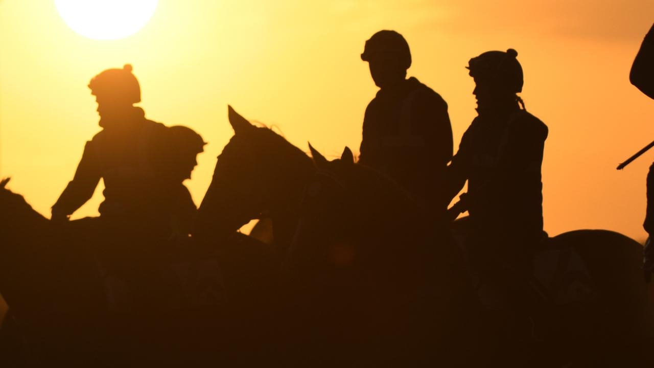 Stable employee dies after suspected kick from horse at Cranbourne track