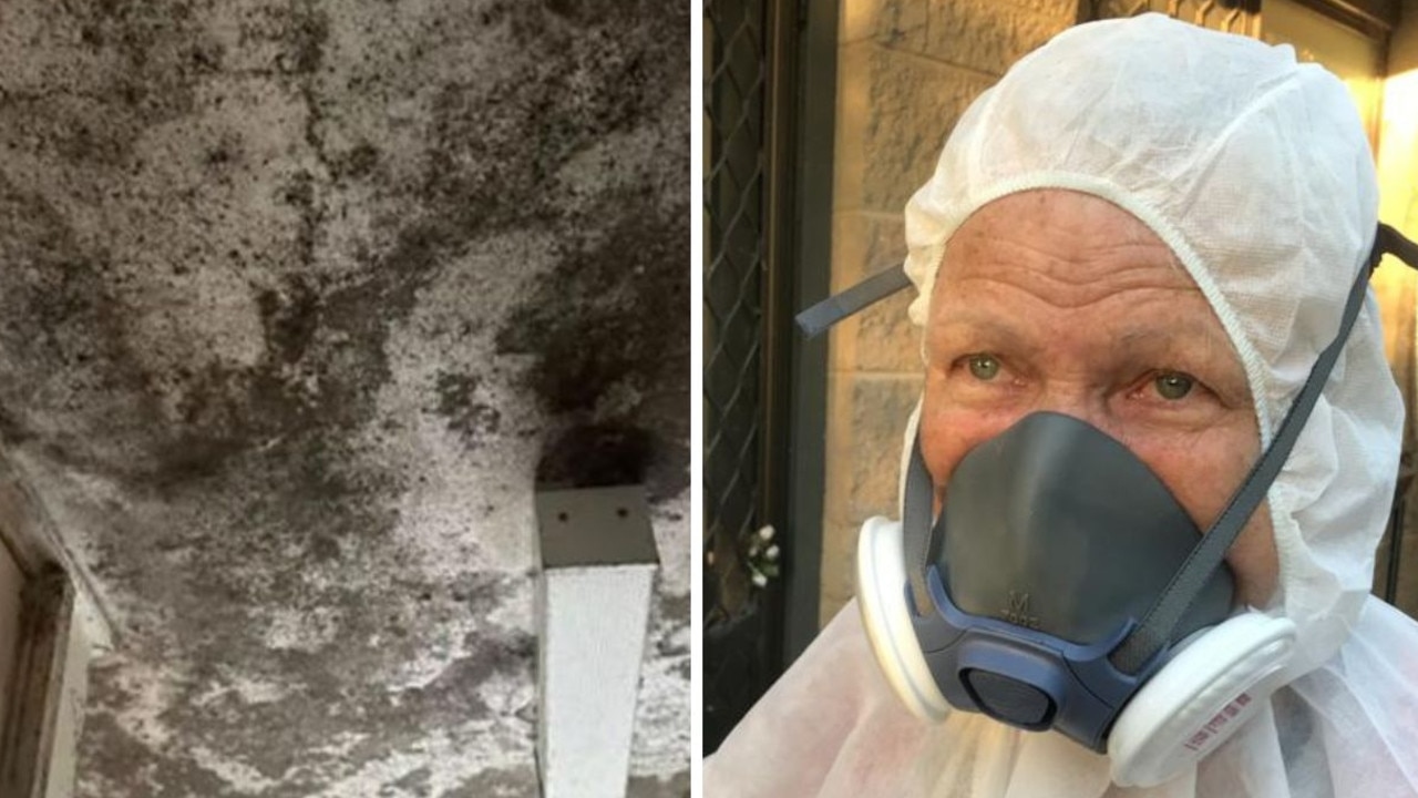Ask Dr Zac: What impact does a mouldy home have on my health?