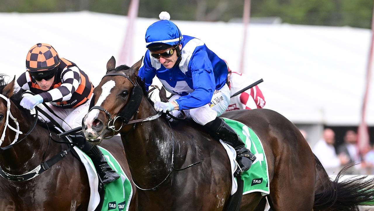 Gold Coast trainer Paul Shailer insists Mister Bianco isn't ready yet for any trips interstate