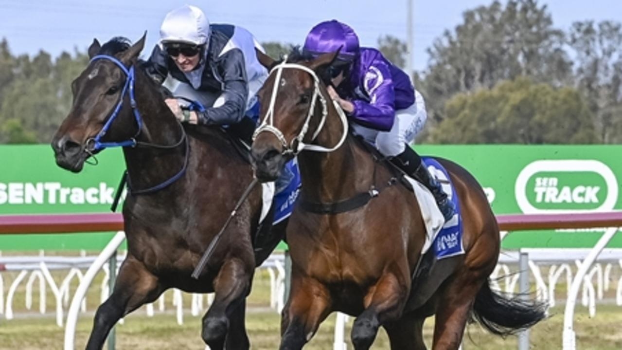 Kembla preview: David Payne training son of his Victoria Derby winner Ace High for cousin of former Primer Minister Kevin Rudd