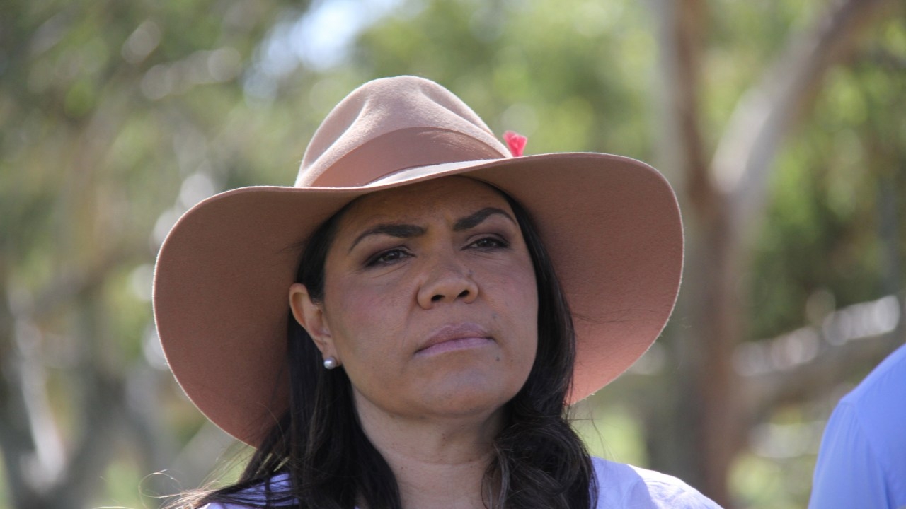 ‘Not been predicated on experience': Jacinta Nampijinpa Price fumes at Ley's new look frontbench, whilst Hogan remains tight-lipped on Joyce axing