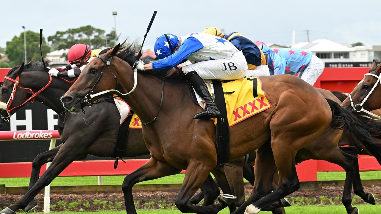 Seven-year-old gelding Galifianakis can continue his remarkable form at Eagle Farm