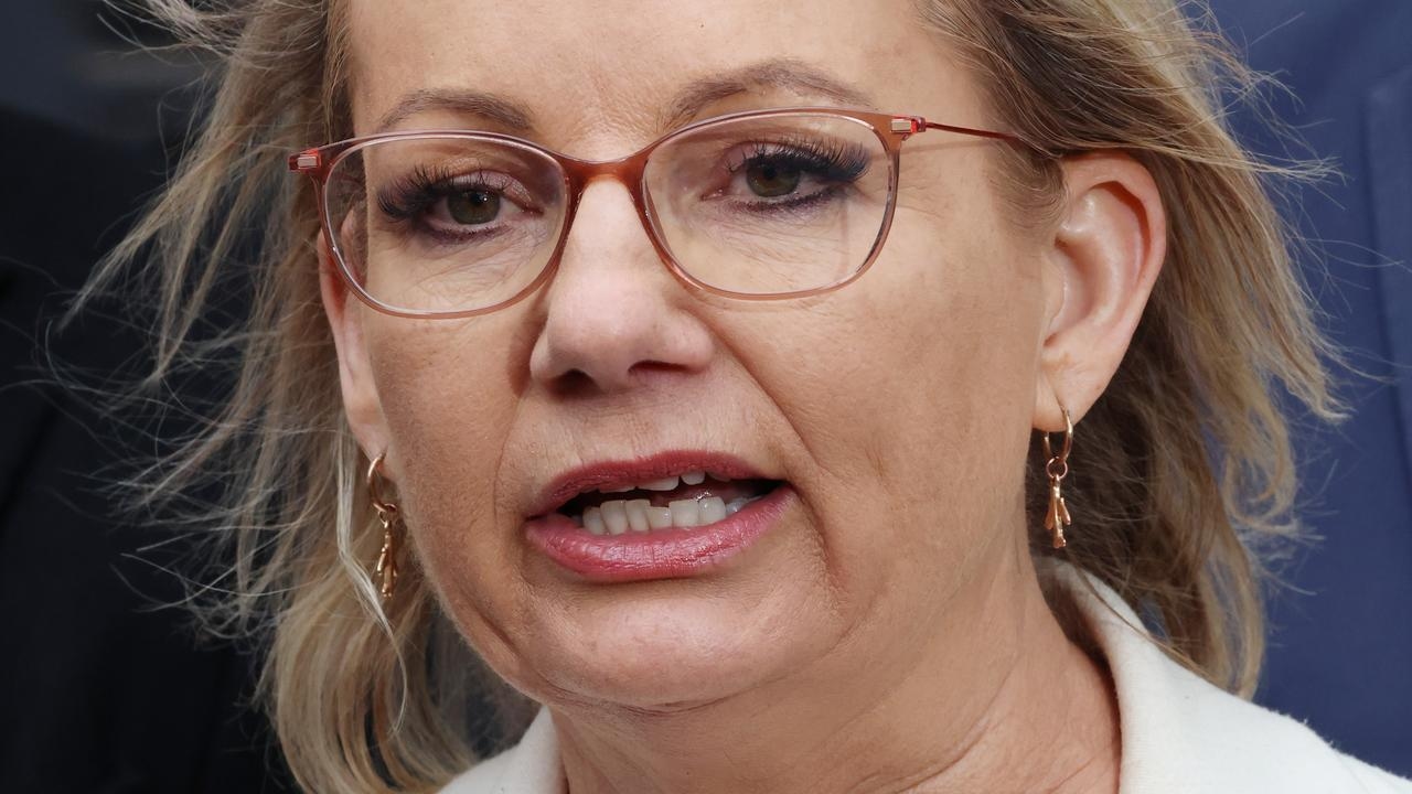 Sussan Ley's Gaza comments show she's not ‘fair dinkum' on family values, Labor MP says