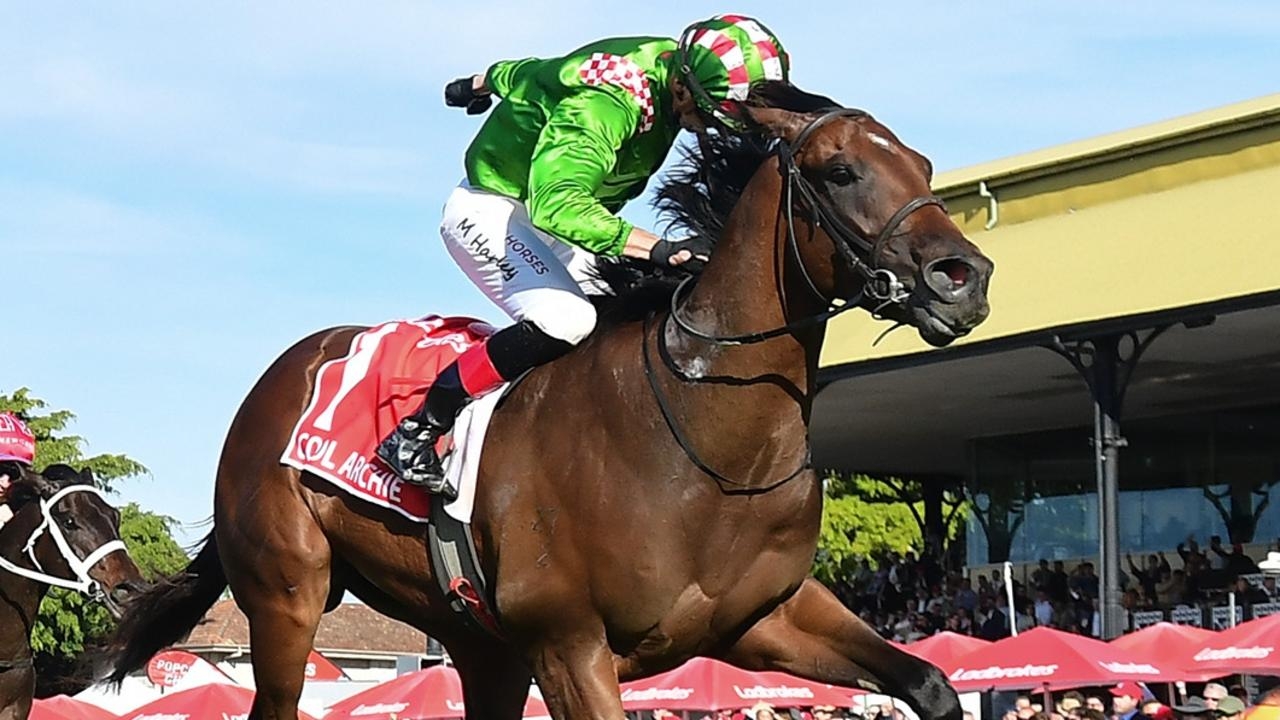 ‘Huge offers': Studs clamour for Cool Archie as owner Max Whitby dreams of The Everest