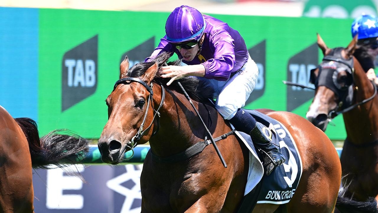 Matt Dunn gelding Boom Torque recharges batteries for Queensland winter carnival assault