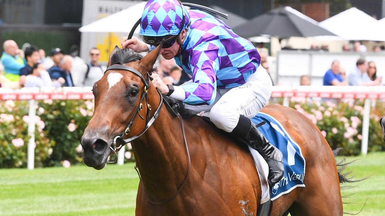 Queensland Oaks contender Jenni's Meadow marks full-circle moment for owner Tony Ottobre