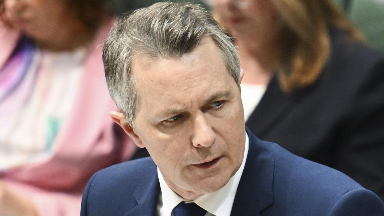 Labor government to increase international student cap by 25,000 for 2026 academic year