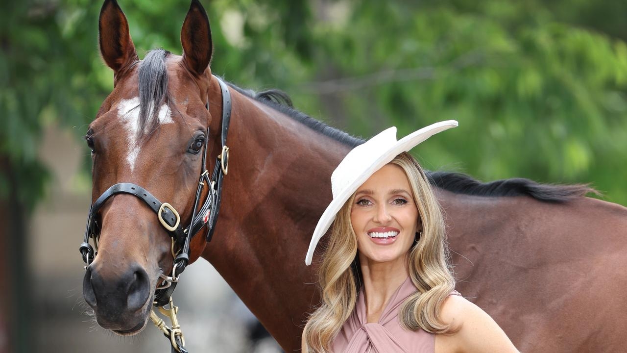 Gai Waterhouse's most talented stayer since Fiorente ‘vulnerable' in Hollindale Stakes return