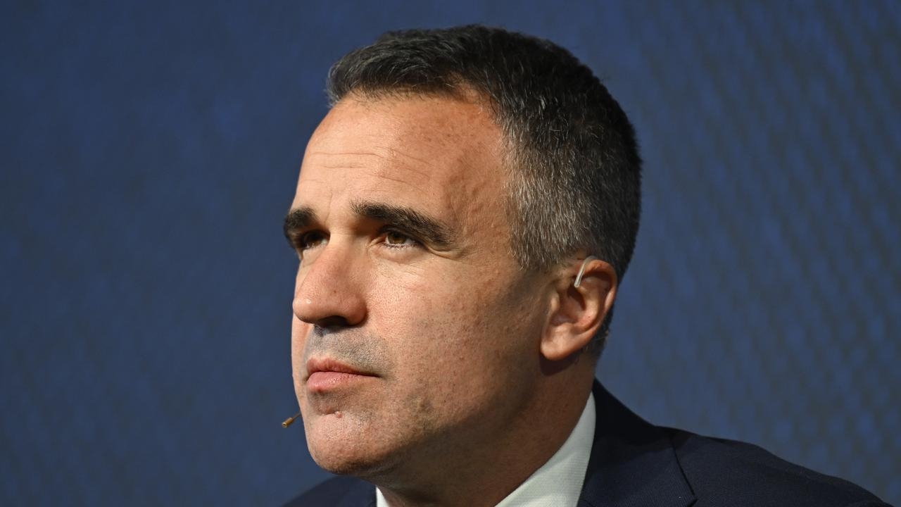 Annabel Digance launches $2.3m lawsuit against South Australian Premier Peter Malinauskas