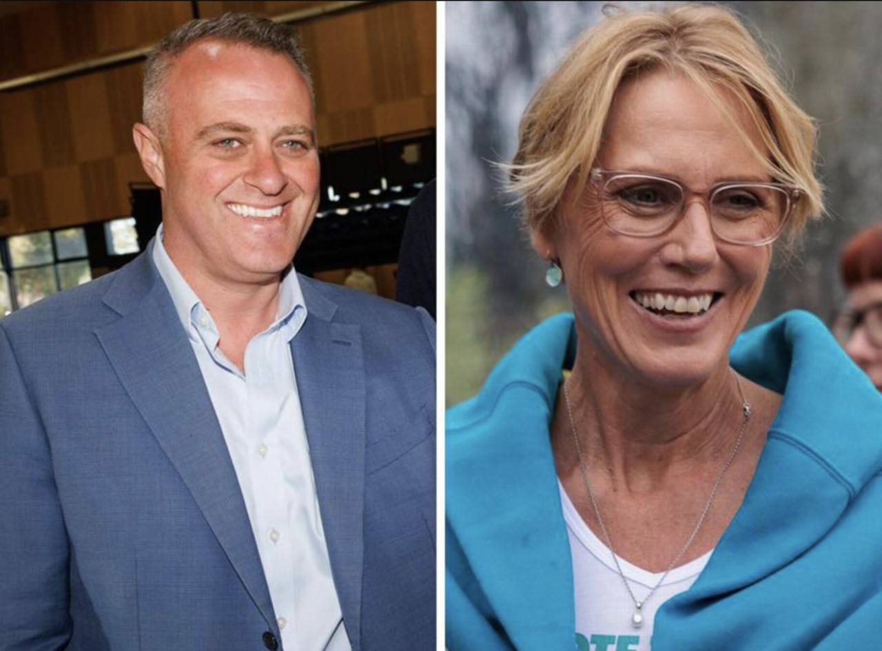Tim Wilson officially new member for Goldstein after tight margins saw Zoe Daniel order a recount