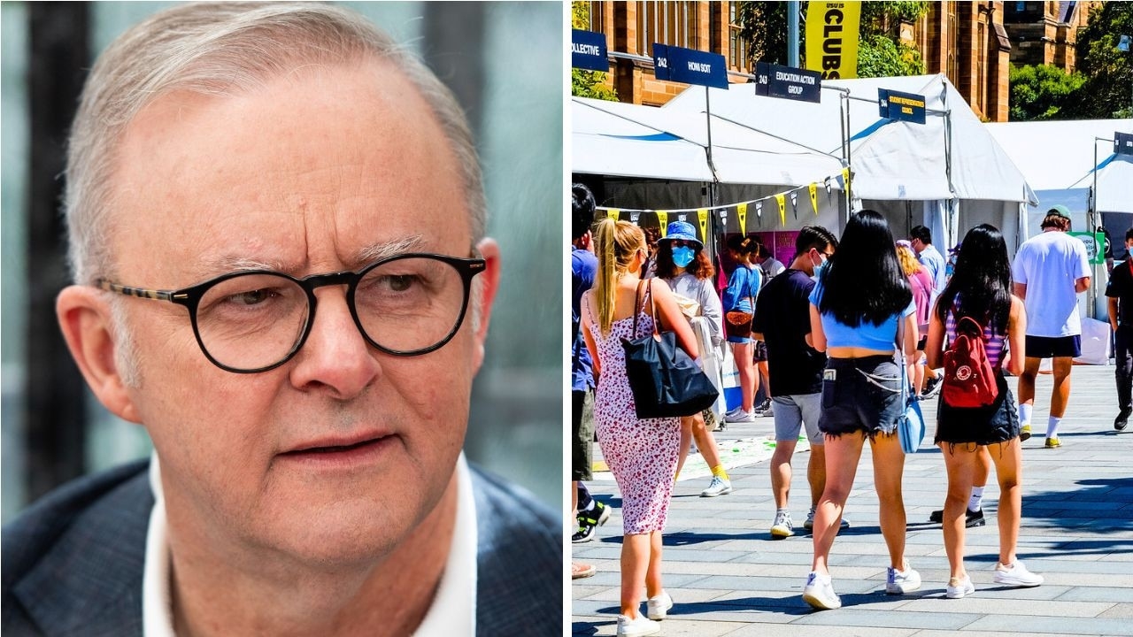 Debt for millions to soon be wiped under Anthony Albanese's promise