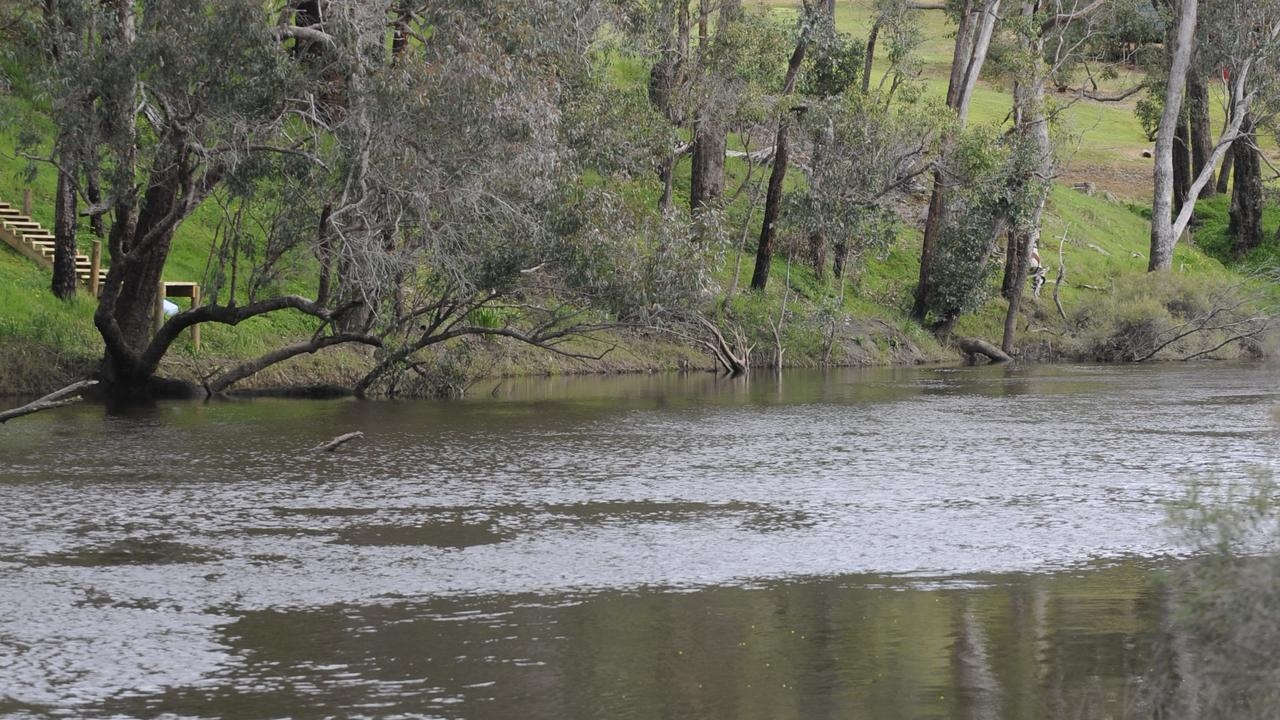 Woman swept away in Blackwood River clung to tree before rescue