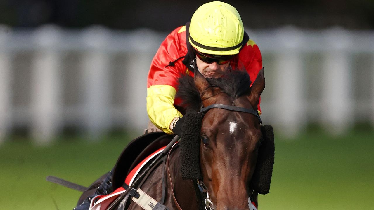 Newcastle and Casino best bets, inside mail for Saturday 8 August, 2025