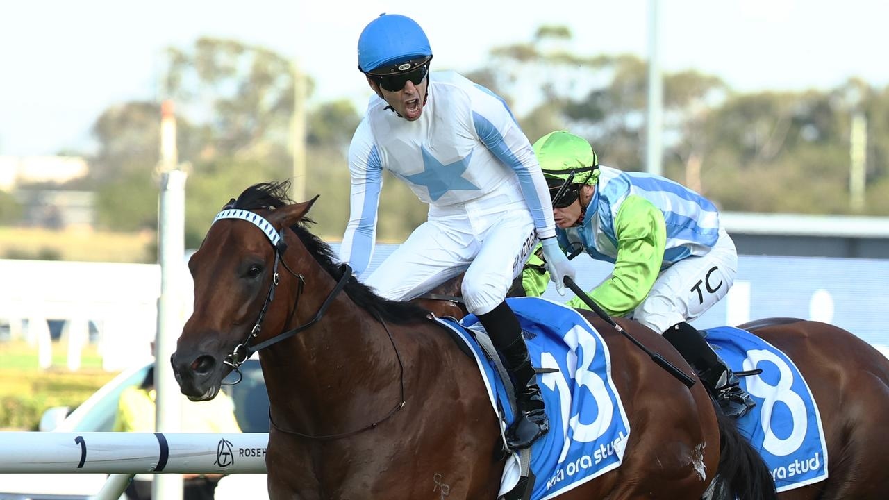 Kurrinda Bloodstock director Sean Driver attempting Everest-Kosciuszko double with Private Harry and Boston Rocks