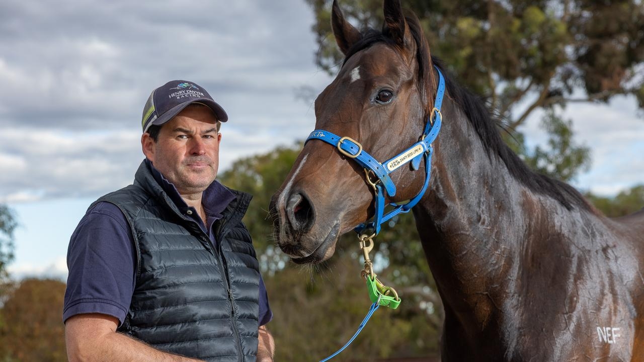 Royal Ascot champ Asfoora enjoys coastal build-up for Group 1 Robert Sangster Stakes
