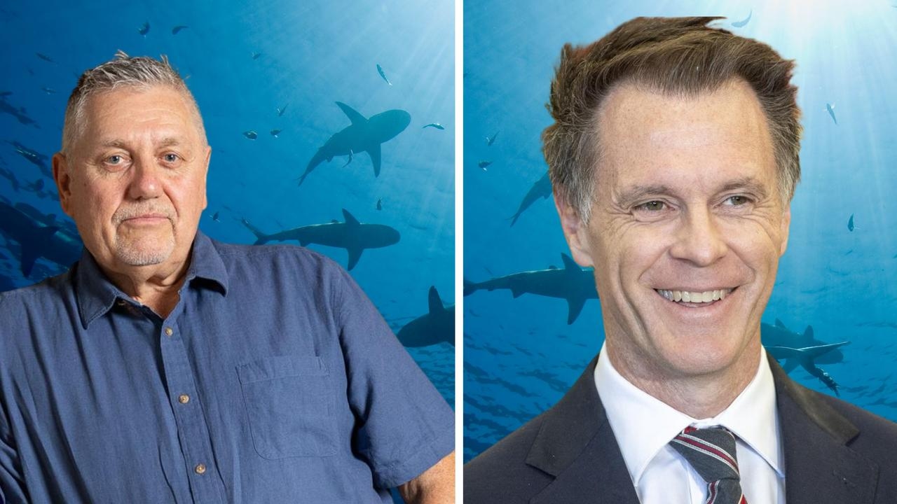 ‘Do it immediately': Ray Hadley lashes out at shark net madness