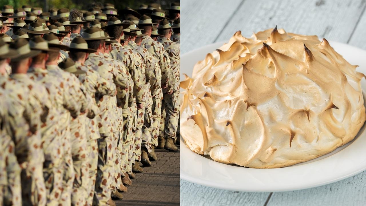 ADF more concerned about ‘Bombe Alaska' than military power