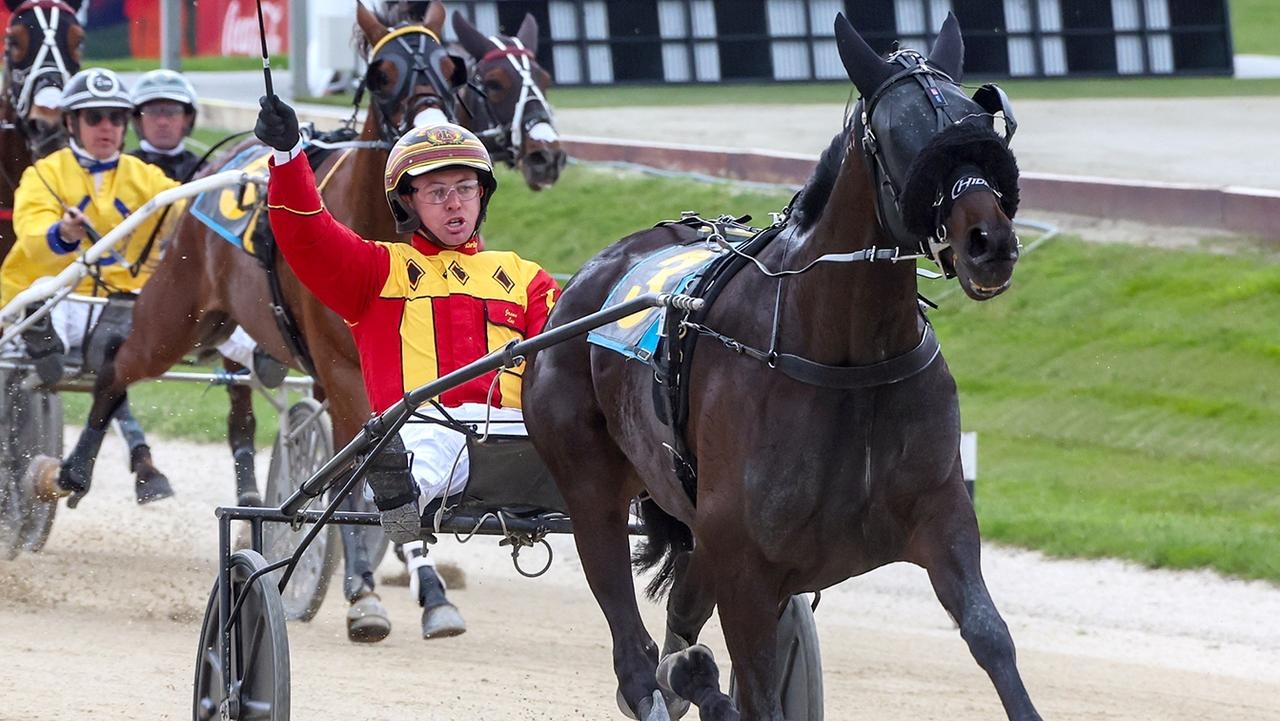 Harness racing: Unbeaten trotter Keayang Zahara faces ‘real test' stepping into open-aged racing for the first time