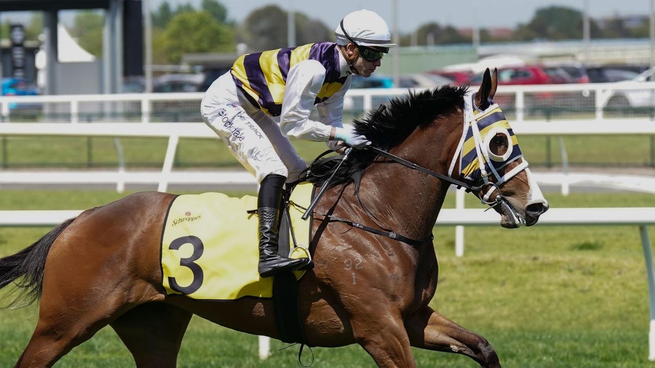 Femminile chasing South Australian and Queensland Derby double at Eagle Farm Saturday