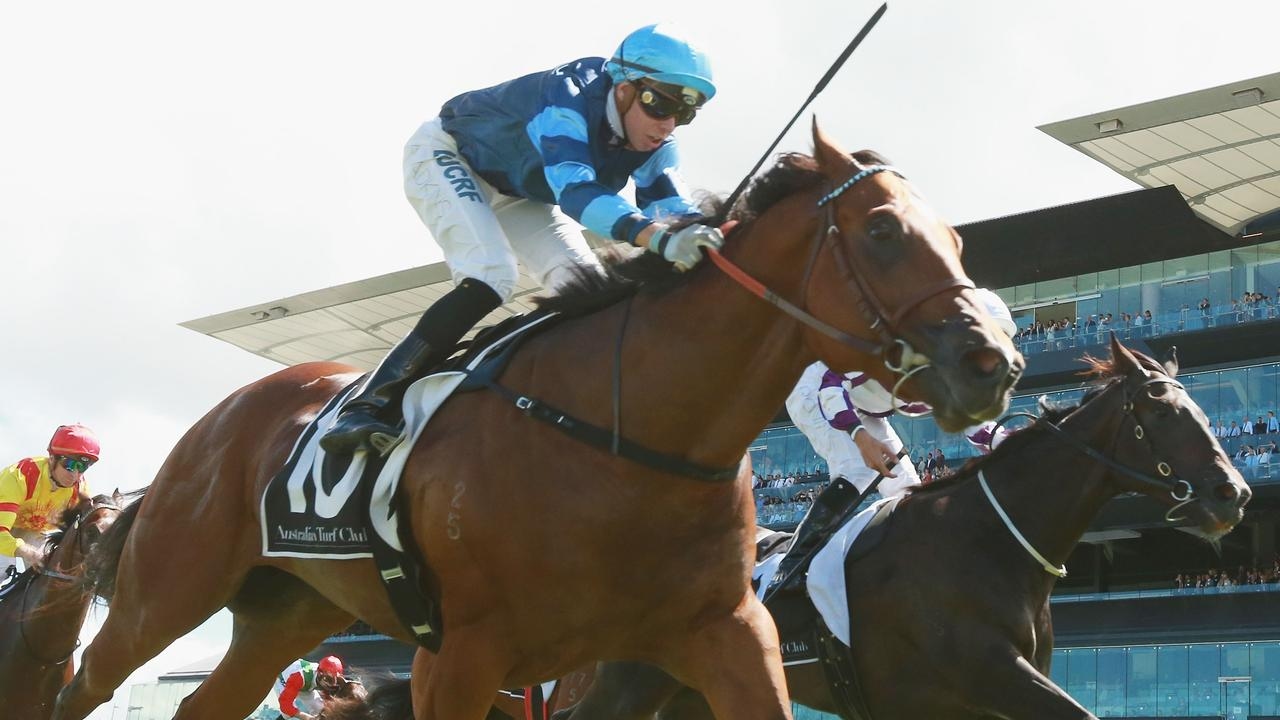 NSW trainer Rob Wellington keen to solve mystery of retired stallion Aylmerton after buying son Drumcondra for $10,000