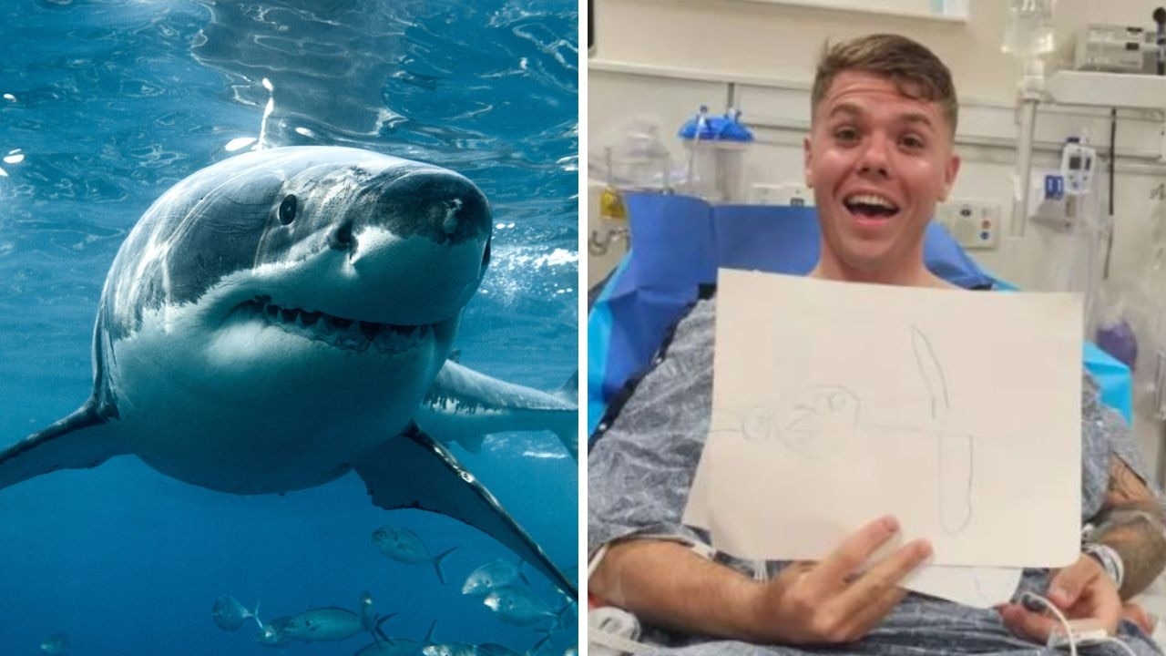Fisherman shares gruesome picture after terrifying shark attack