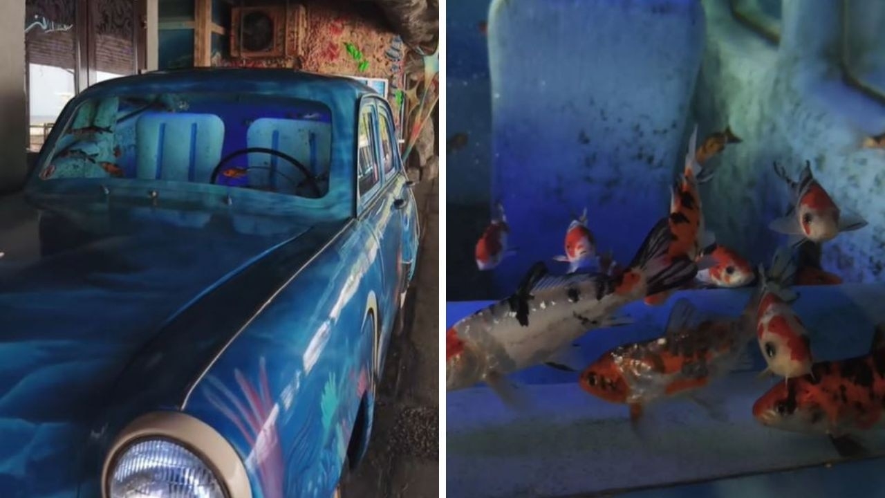 Student discovers hidden aquarium in shocking place