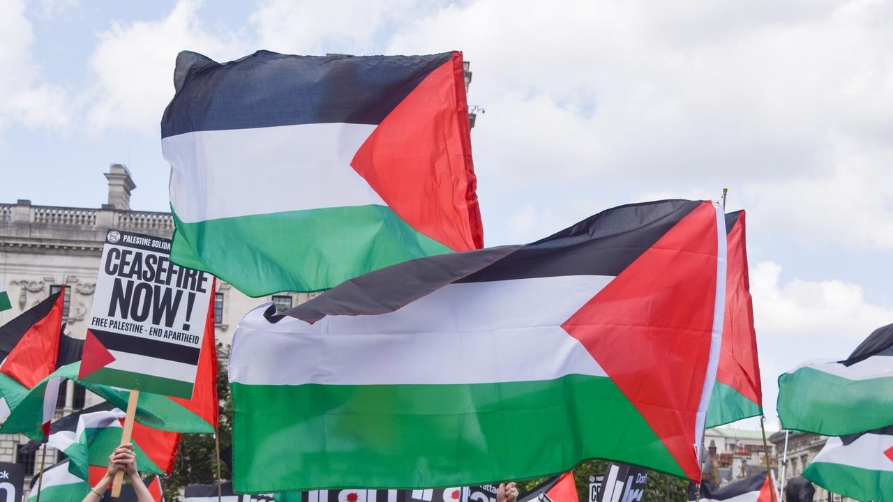 ‘Progressive white saviours' come from Europe to tell Egypt how to run their country