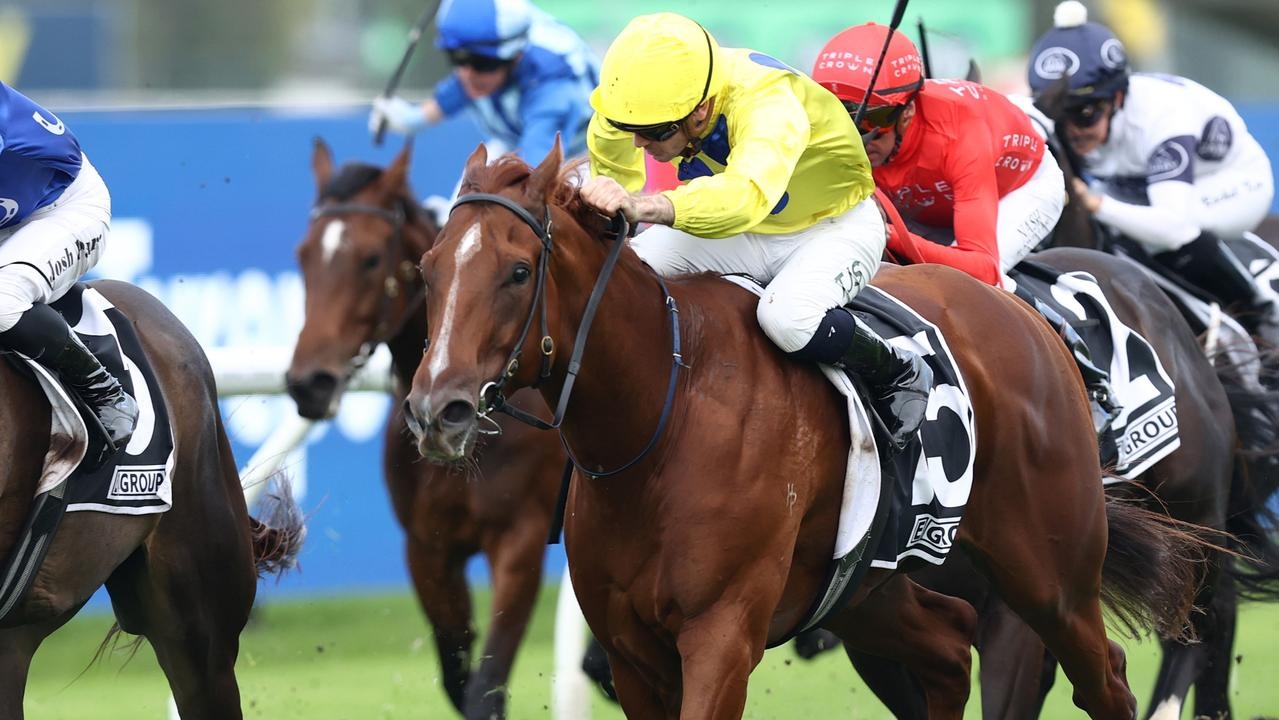 Rising sprinter General Salute to launch audacious spring assault in Missile Stakes
