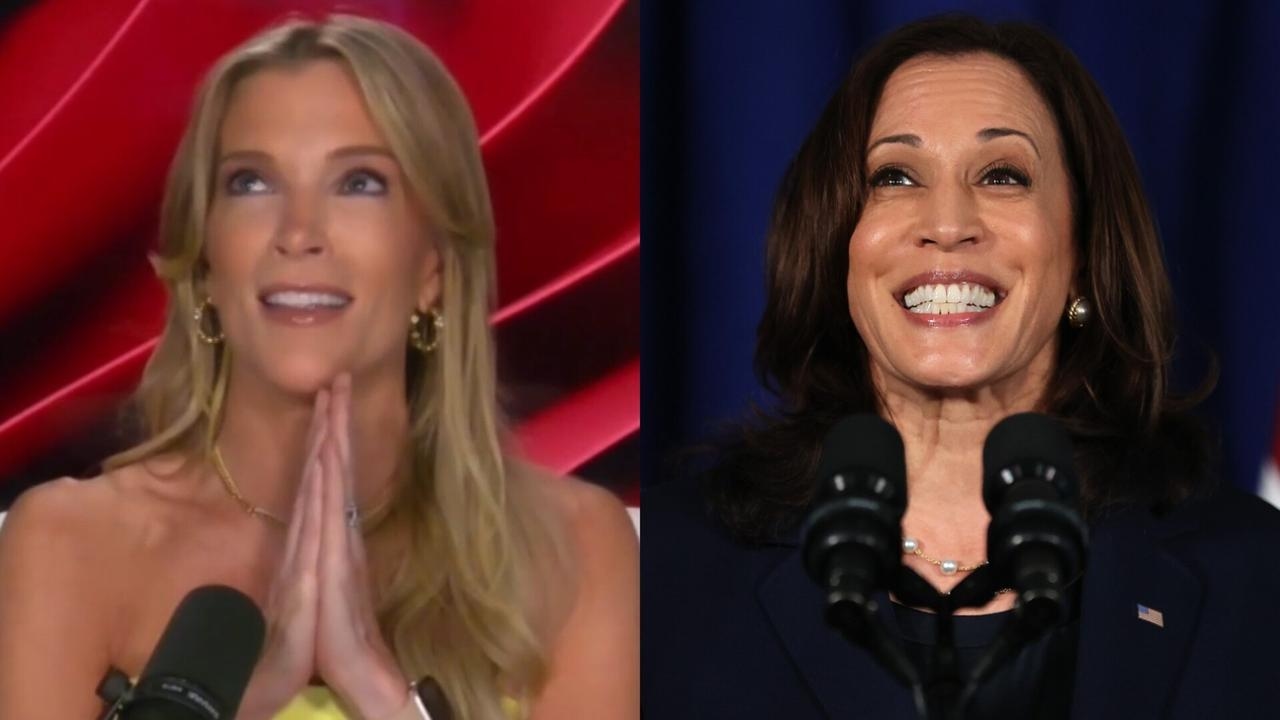 ‘I can't be that lucky': Megyn Kelly urges Kamala Harris to run again in 2028