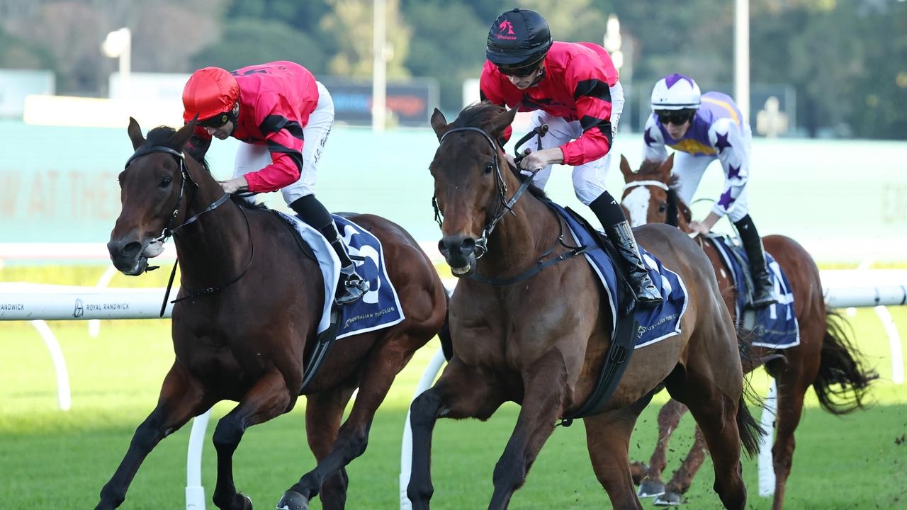 Punters in a ‘Daze' as import causes a boilover