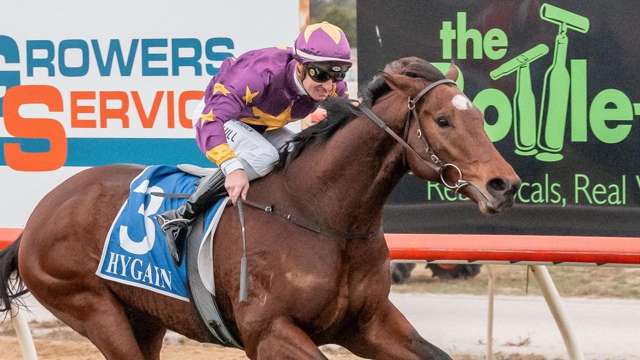 Dartboard chasing fifth win for trainer Brady Cross after 19 starts without a win