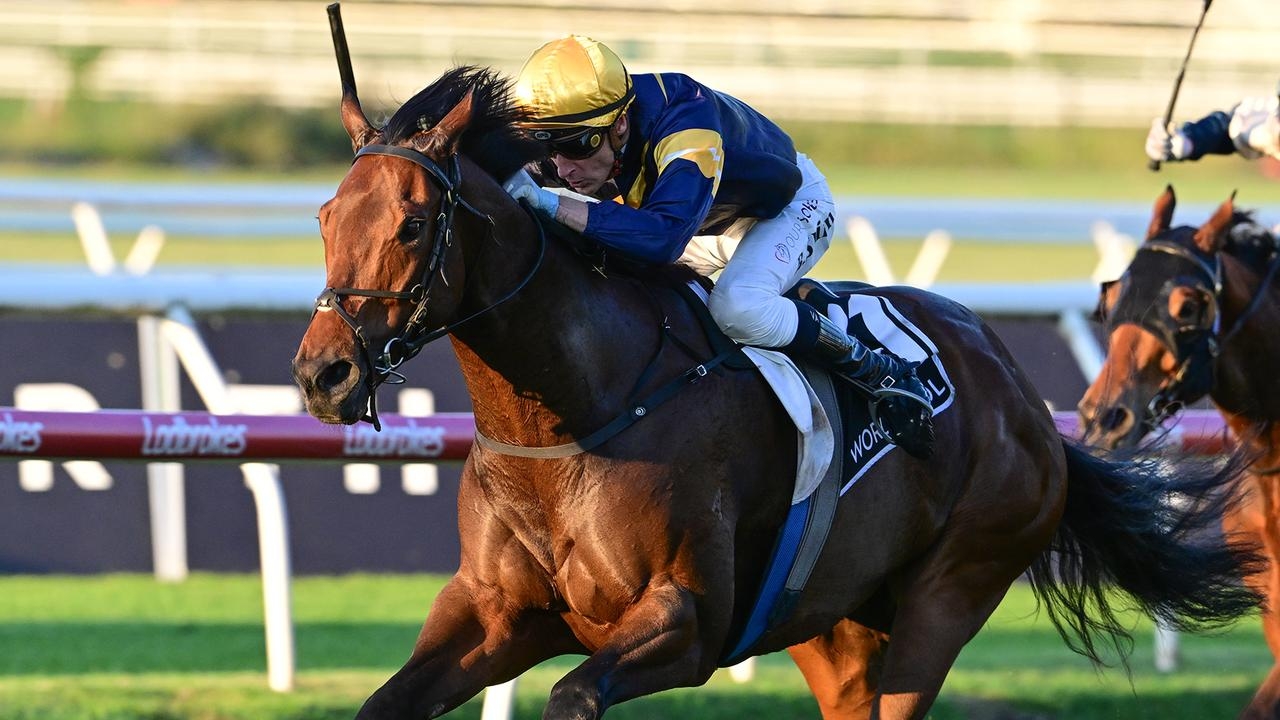 2025 BRC Sprint: War Machine wins for Lindsay Park