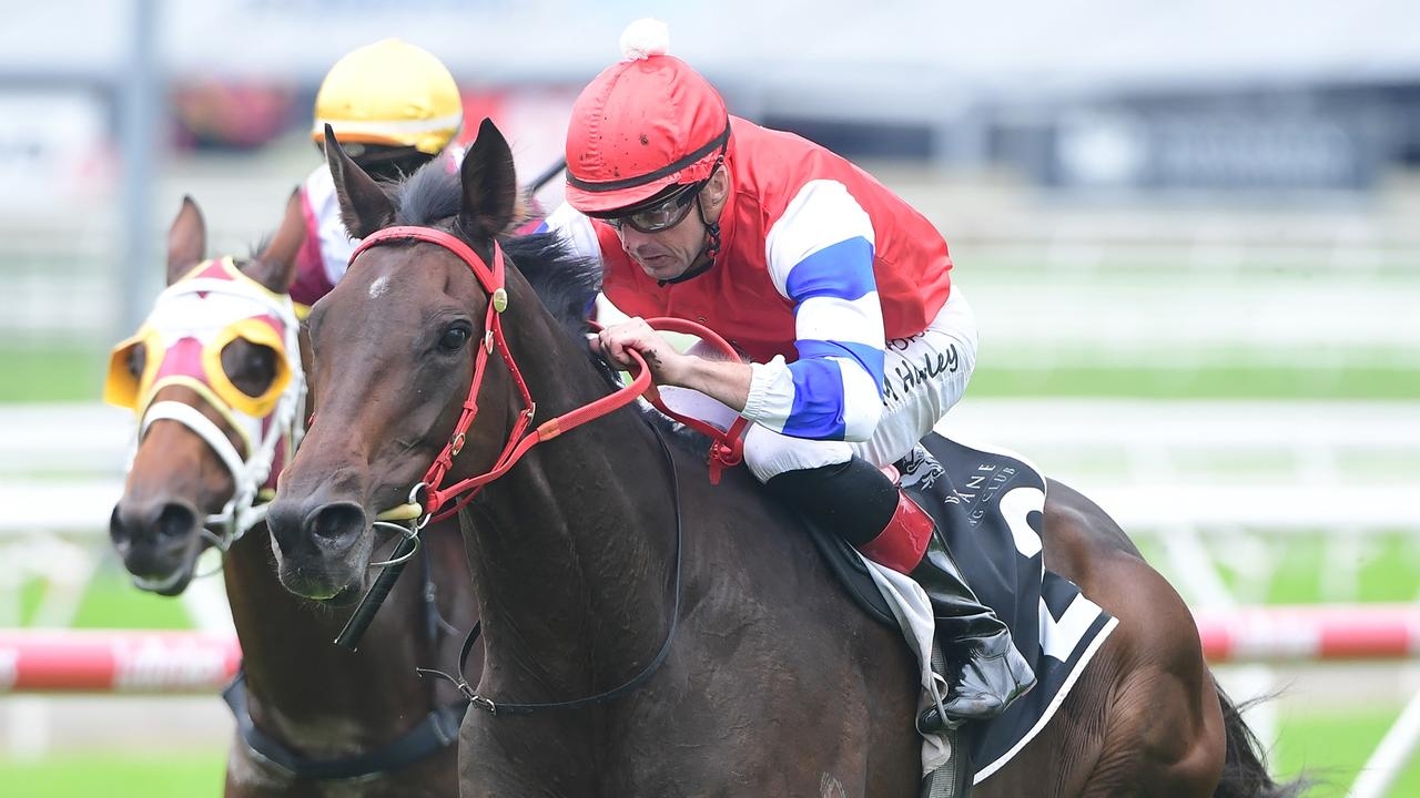 Grafton preview: Co-trainer Will Hulbert believes the unlucky Dillian can gain redemption with victory in the Grafton Cup