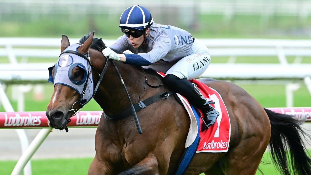 Rockhampton trainer Nick Walsh hellbent on winning The Archer trophy for the locals