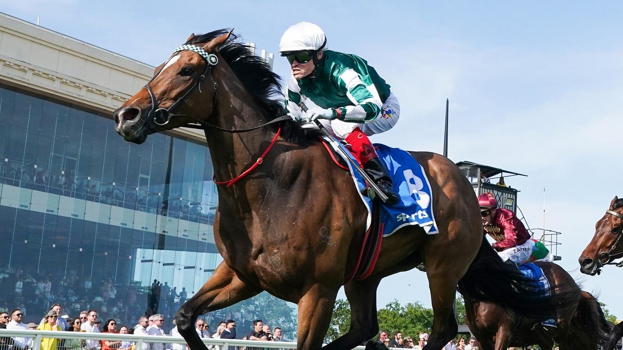 Kimochi set for back-to-back Queensland Group 1 challenges in Kingsford Smith Cup and Stradbroke Handicap
