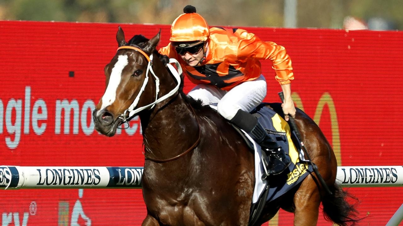 Trainer Kris Lees to run Brudenell at Randwick on Saturday after weighing up Eagle Farm option