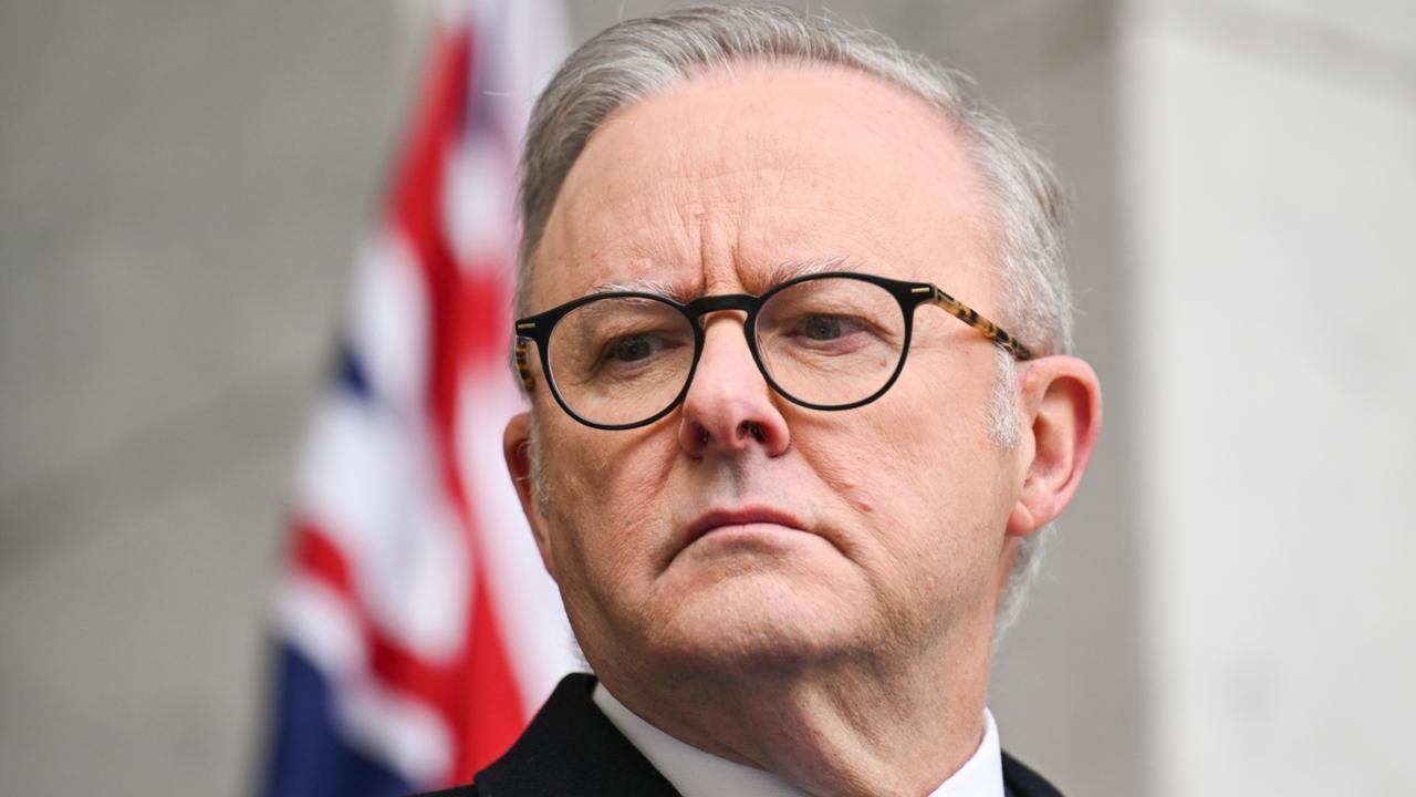 ‘Coward': Albanese jumps on ‘anti-Israel bandwagon' with Palestine recognition
