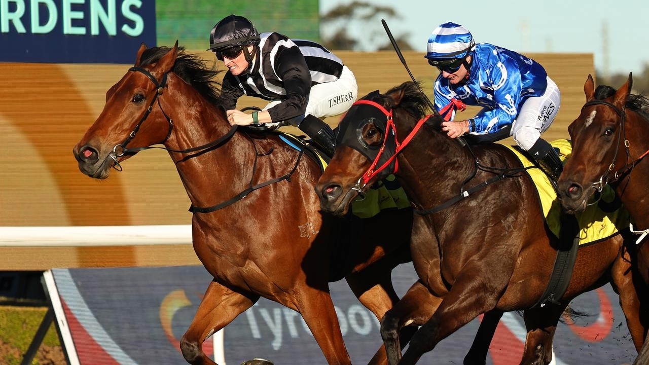 Home-bred cheapie Romeo's Choice scores knockout victory in July Sprint at Rosehill