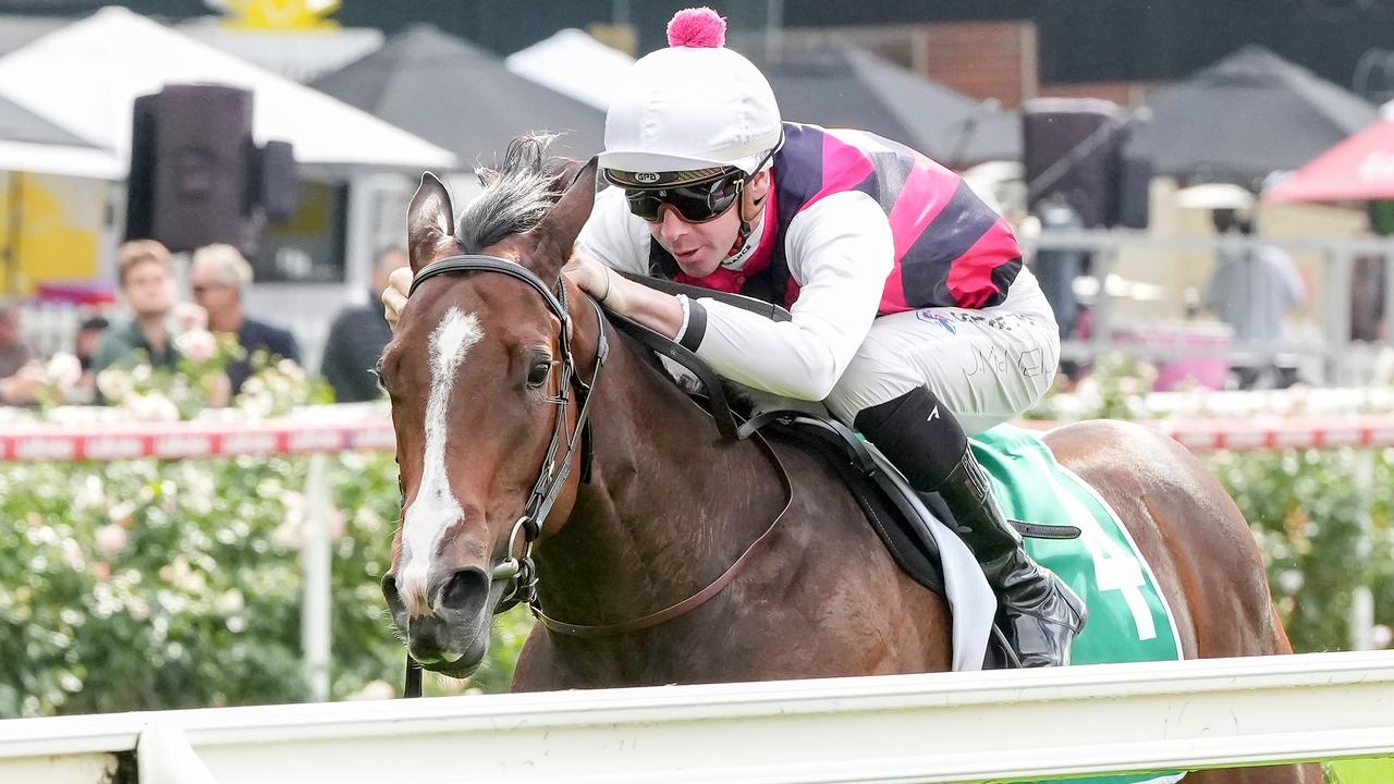Jye McNeil eyes hat-trick aboard speedy filly Saluted at Sandown