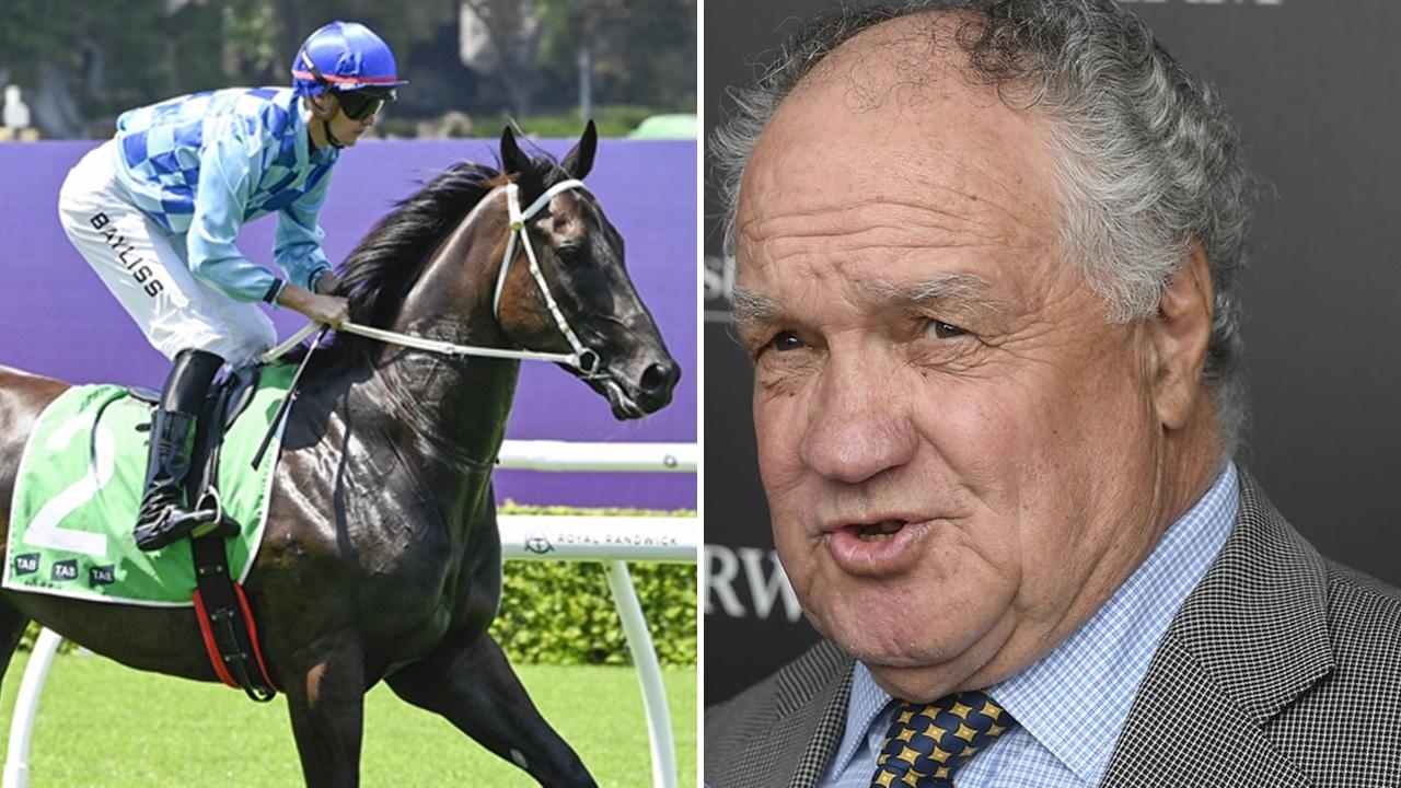 ‘What else am I going to do?' My Last Hooray no last hurrah for veteran trainer Frank Cleary