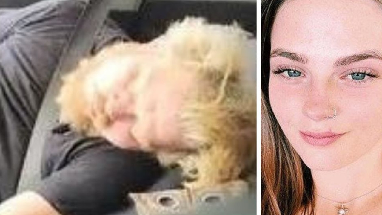 ‘He's here': Moment irate local confronts housemate of missing teen Pheobe Bishop as he sleeps in car with dog