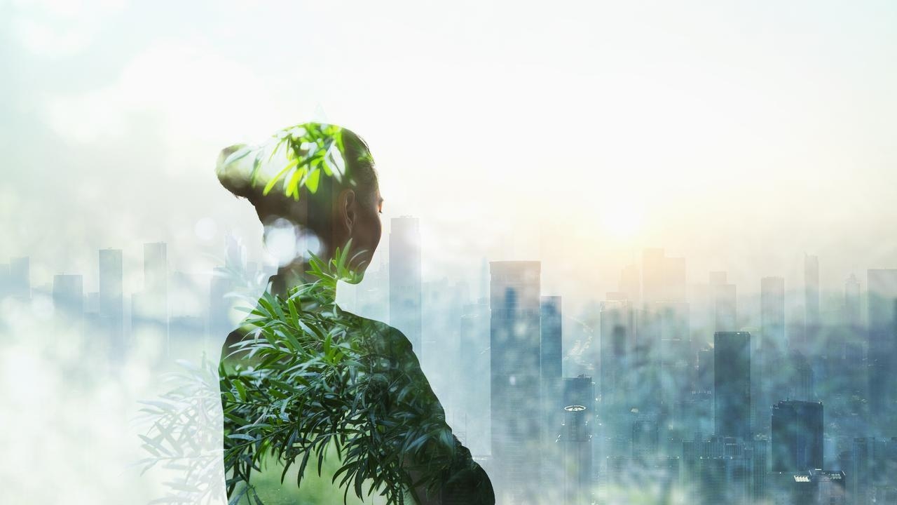 CFOs own sustainability reporting: here's what they need to know