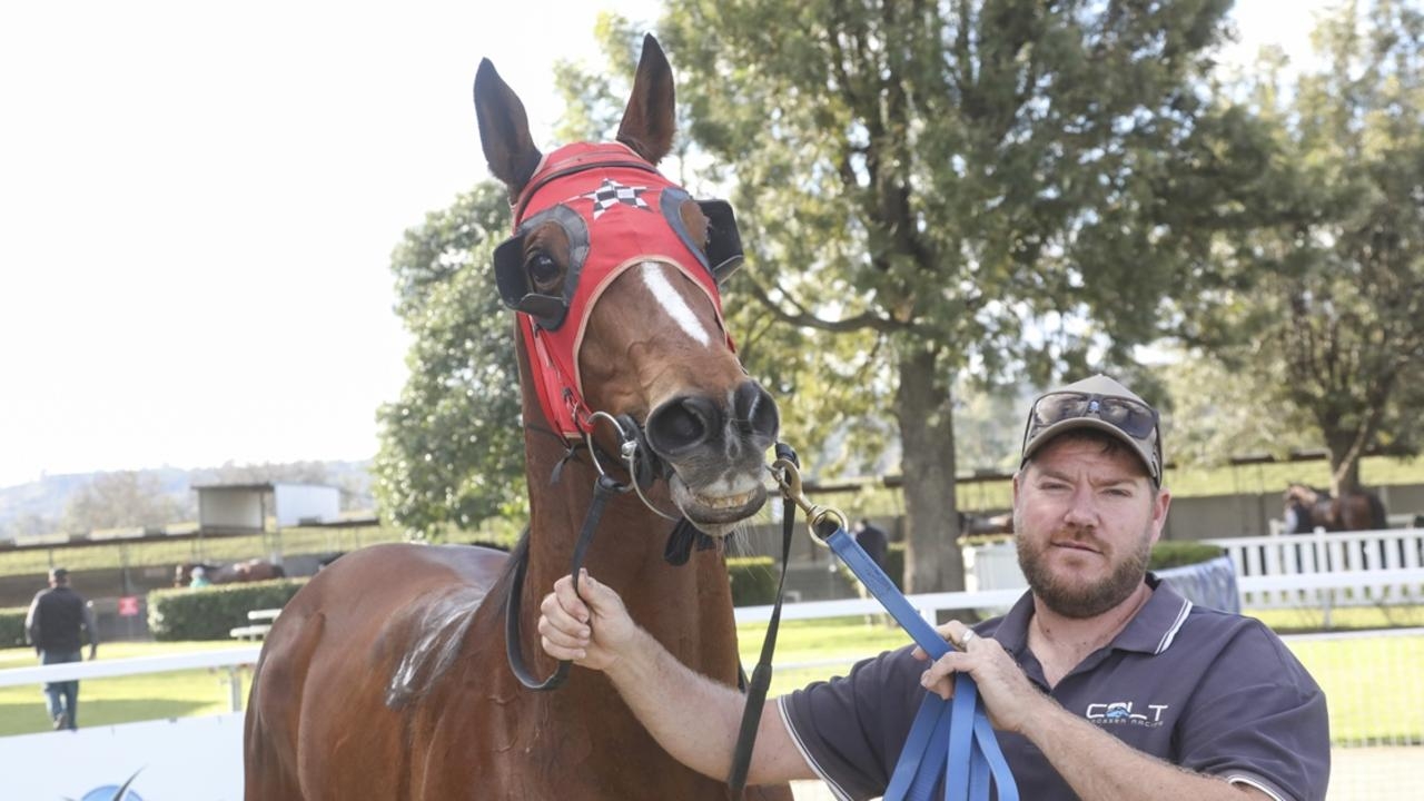 Casino, Goulburn previews: Colt Prosser eyeing a feature double