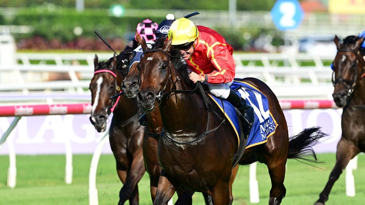 Premier trainer Tony Gollan is eyeing a Stradbroke berth with Archer hopeful Transatlantic