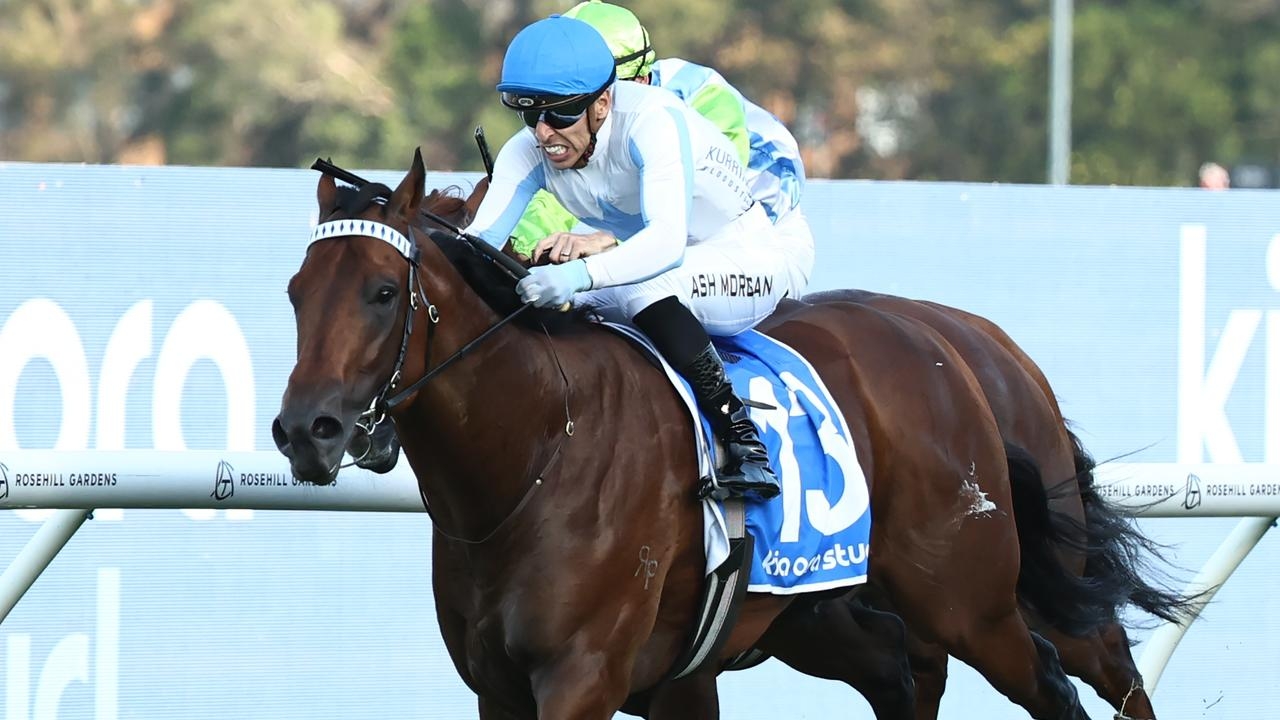 ‘The boy has become a man': Private Harry thrills trainer Nathan Doyle following his return from spell