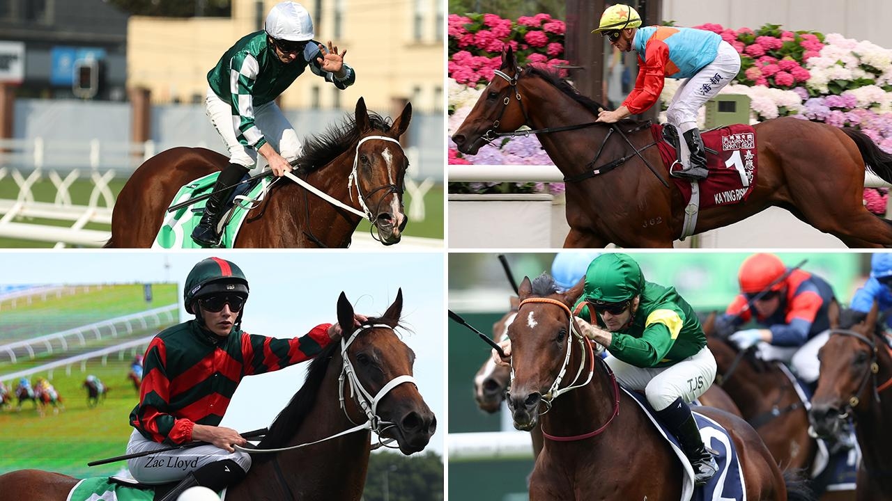 ‘Could be anything this season': Legendary hoops Shane Dye, Malcolm Johnston, Corey Brown and Jim Cassidy pick their spring stars