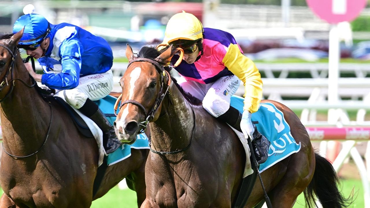 Dragonne Rouge plunge comes off as favourite Hi Barbie bombs start in Calaway Gal Stakes