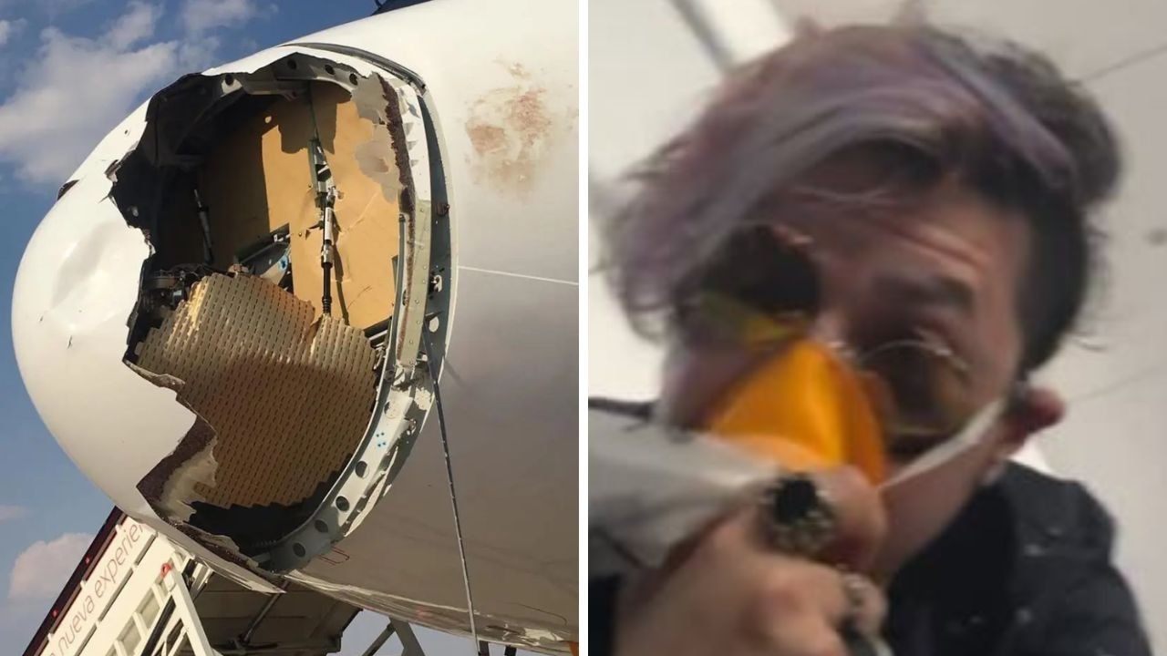 Flight forced to make emergency landing after bird strike destroys nose of plane