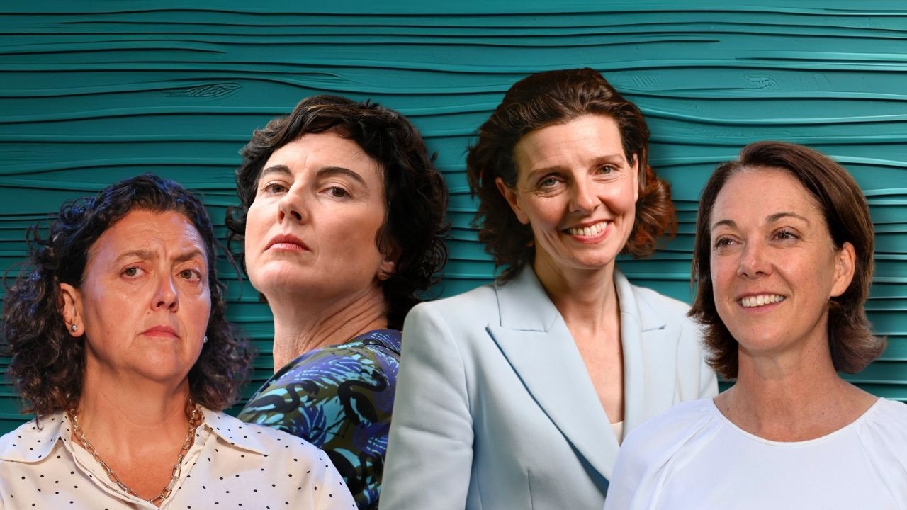 Which Australian suburbs have the strongest support for teal independents?